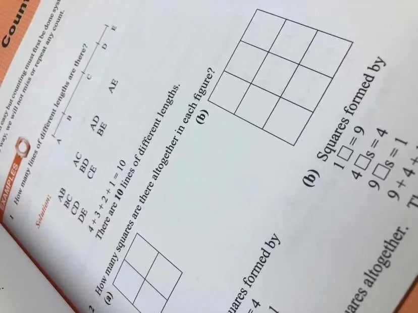 5 Books/set SAP Maths Olympiad Primary School Mathematical Thinking Training Exercise   Math Questions English Book