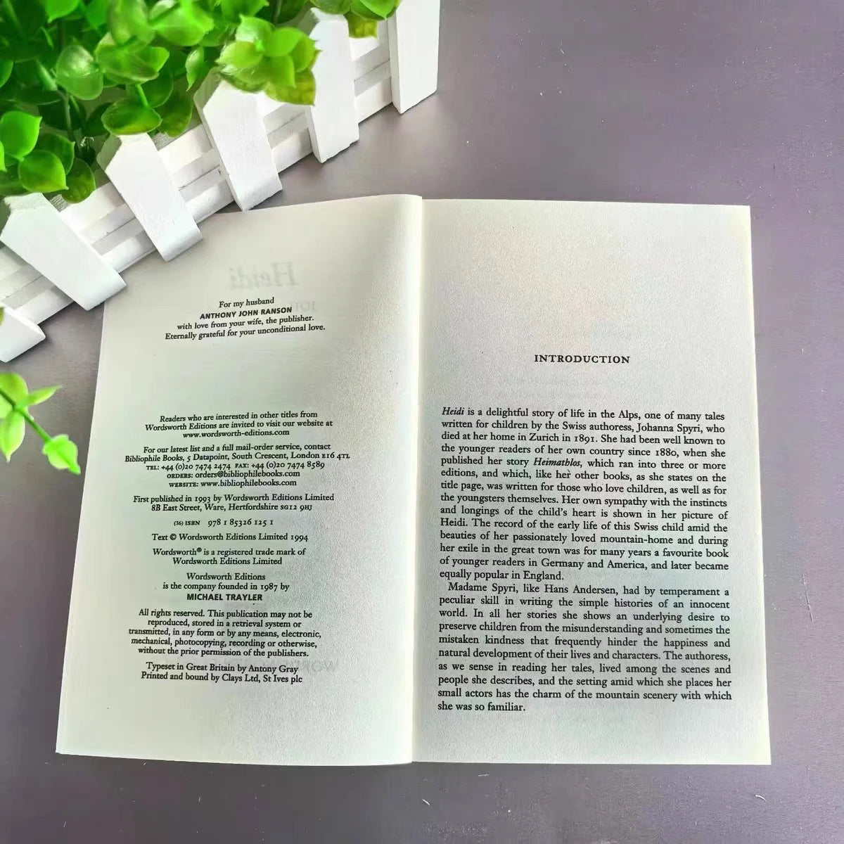 Heidi Johanna Spyr's World Literature Classic Novels in English