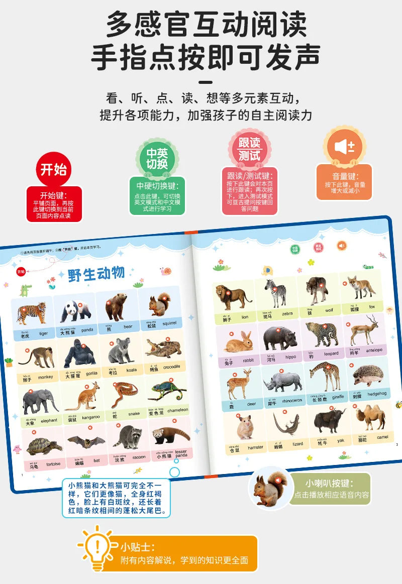 Early Education Pinyin Alphabet Mathematical Cognition Traditional Chinese Music Audio Book