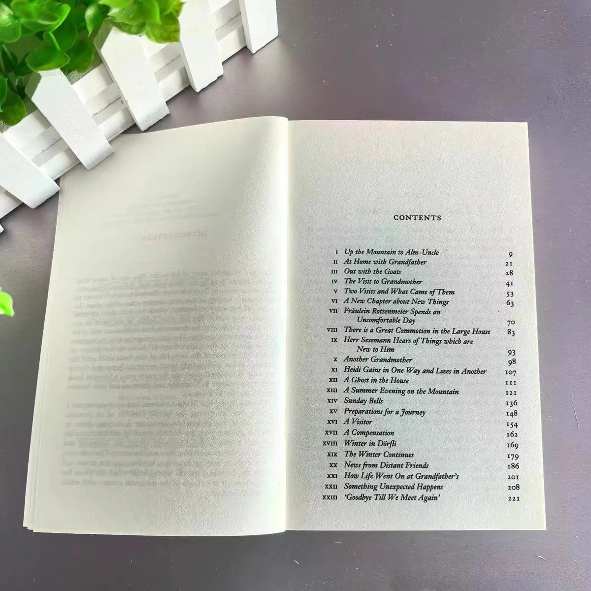 Heidi Johanna Spyr's World Literature Classic Novels in English