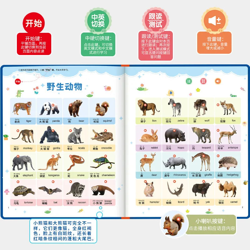 Early Education Pinyin Alphabet Mathematical Cognition Traditional Chinese Music Audio Book