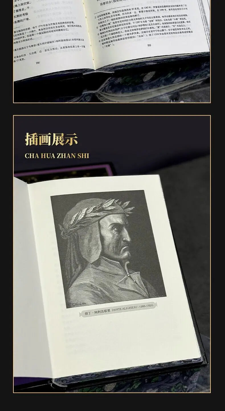 Divine Comedy (Special Edition) Novel Books Famous Modern Novel and Literary Work Dante's Literary Masterpiece