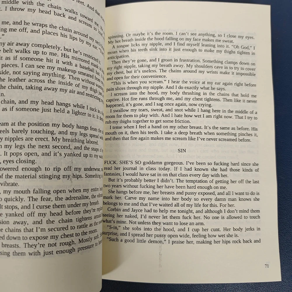 The Sinner A Dark College Novel in English book