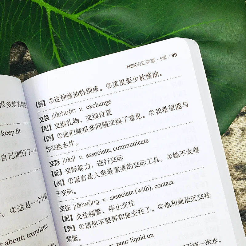 Chinese Level Simulation Test HSK Vocabulary Level 5 / 1300 Words Book Pocket Book