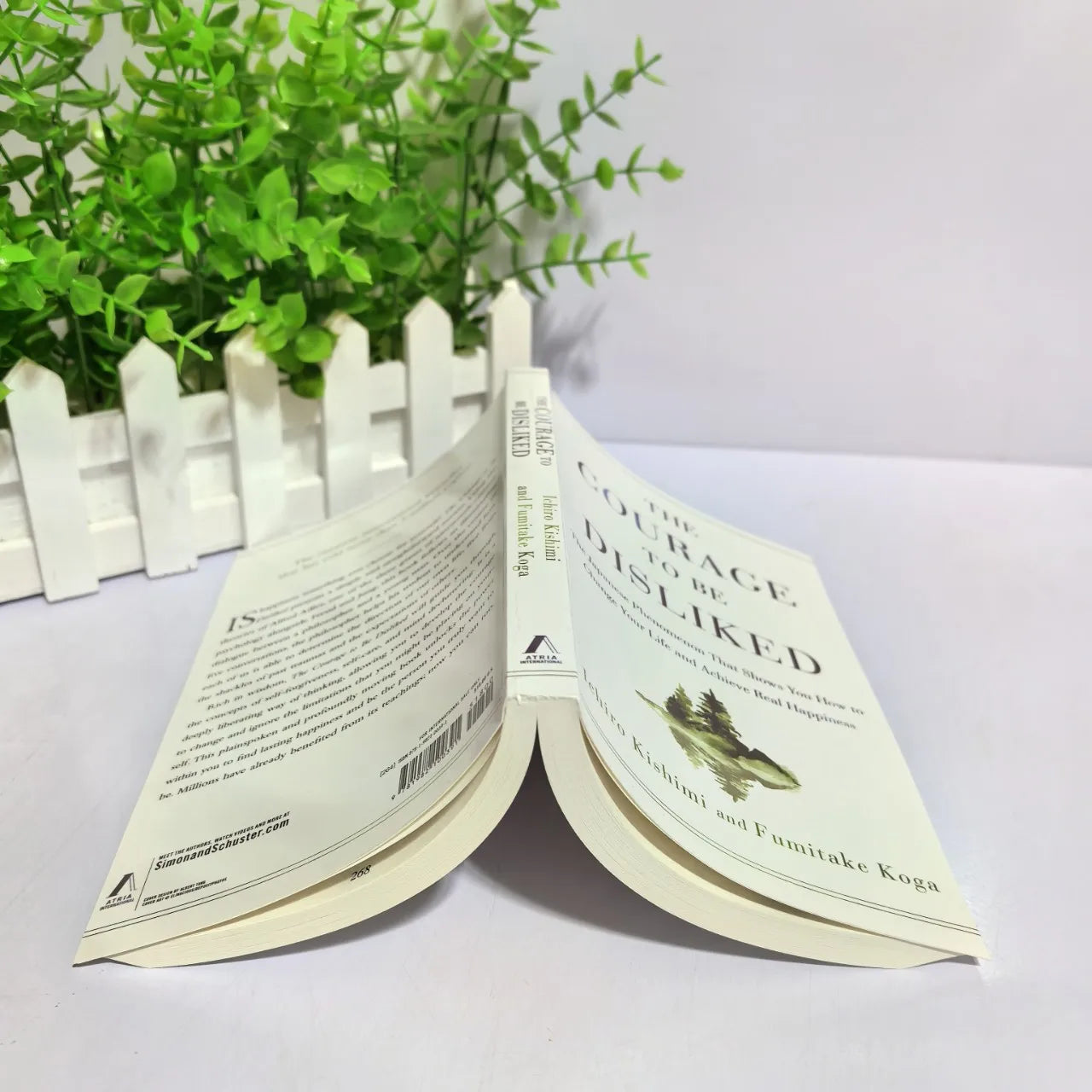 -The Courage to Be Disliked How to Free Yourself Change Your Life and Achieve Real Happiness Paperback English Book