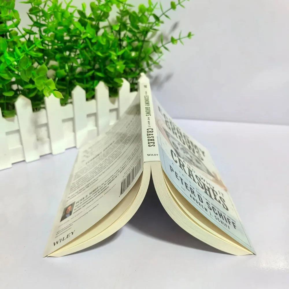 How An Economy Grows and Why It Crashes Paperback Book in English